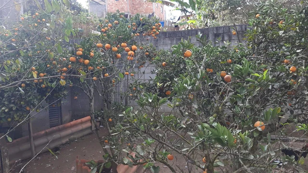    Sitio   Monteiro