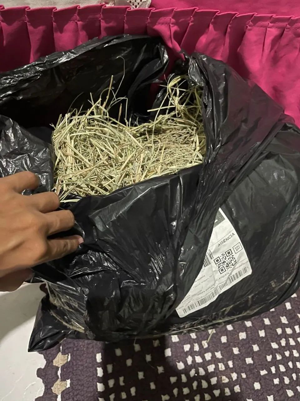 Porquinho da índia e uma casinha inteira  - Foto 3