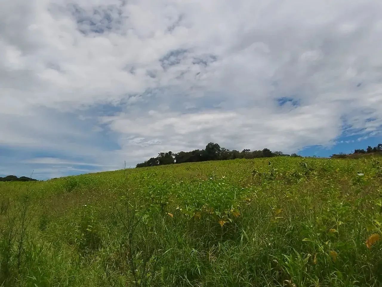 Pré-Lançamento de Terrenos em Ibiúna com Condições Especiais - Foto 7