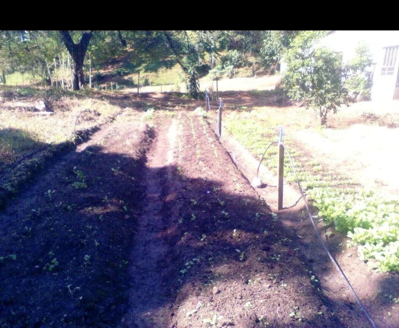 Procuro casa de caseiro  - Foto 3
