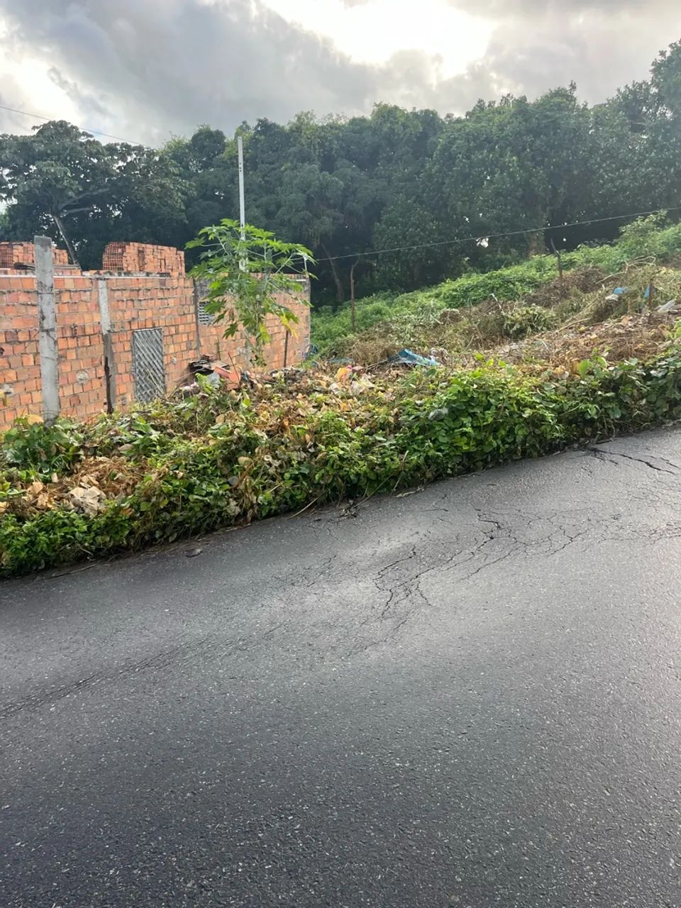 Terreno - Foto 2