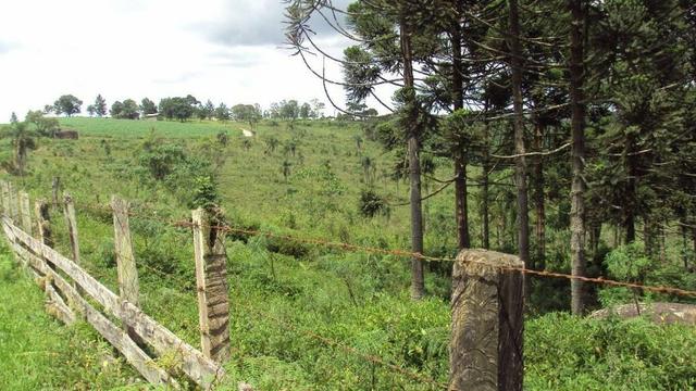 Excelente fazenda com 126 alqueires em Campo Largo - Foto 7