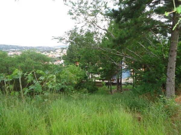 Terreno à venda em Aberta dos morros, Porto alegre cod:MI17332 - Foto 4