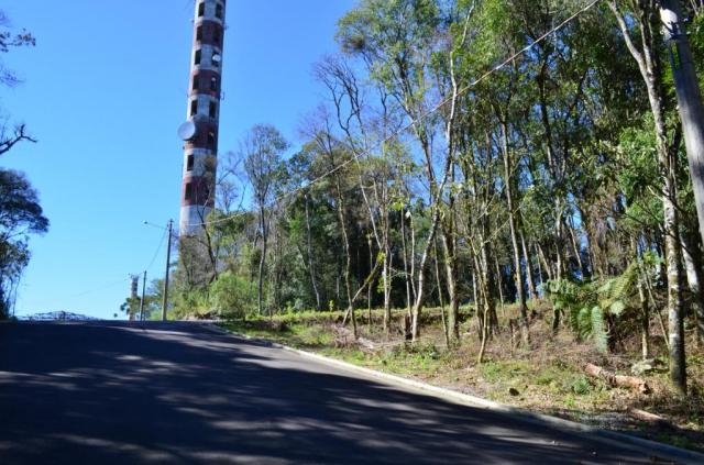 Terreno residencial à venda, floresta, gramado. - Foto 3