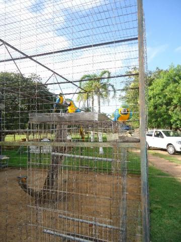 Terreno à venda em Aberta dos morros, Porto alegre cod:MI17355 - Foto 10