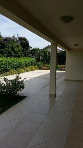 Terreno para alugar em Saguaçú, Joinville cod:LR074 - Foto 13