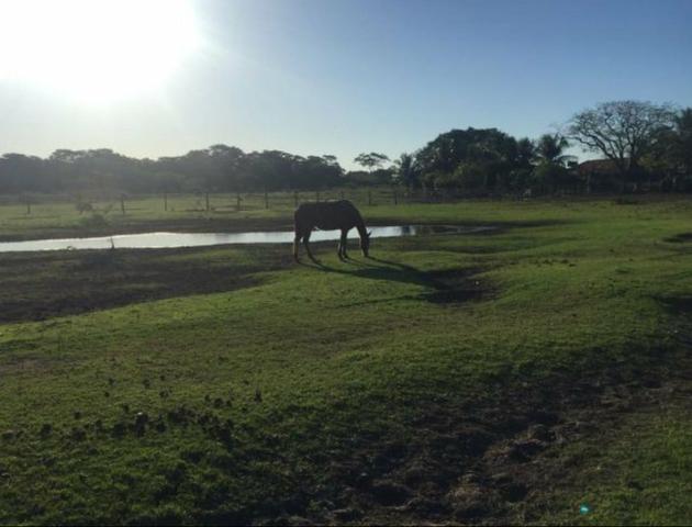 Vendo fazenda BARBADA - Foto 4