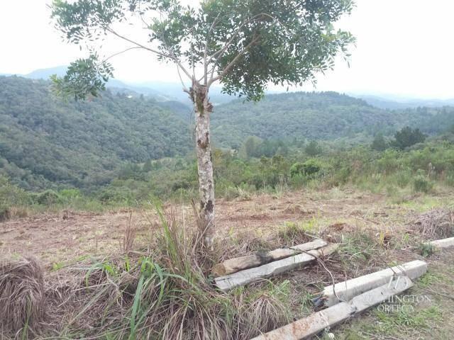 Chácara à venda, 2275517 m² por r$ 10.000.000,00 - centro - campo magro/pr - Foto 12