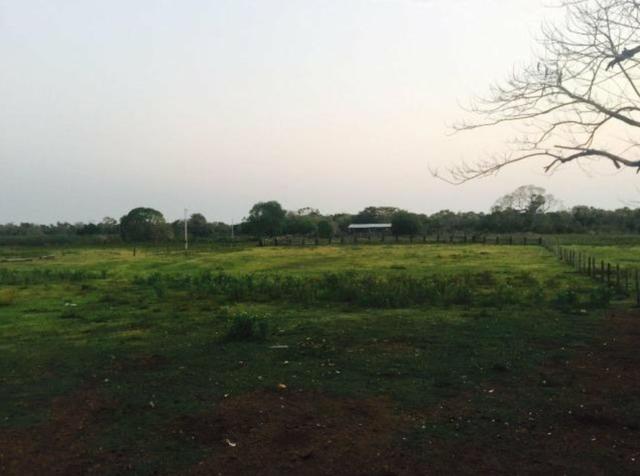Vendo fazenda BARBADA