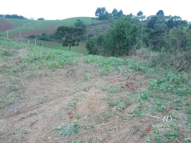 Chácara à venda, 2275517 m² por r$ 10.000.000,00 - centro - campo magro/pr - Foto 8