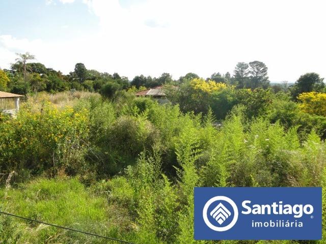 Park Way Quadra 23 Lote inteiro com 20.000m² Terreno - Foto 3