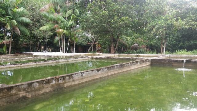Sitio com Criação de Peixes - Foto 12