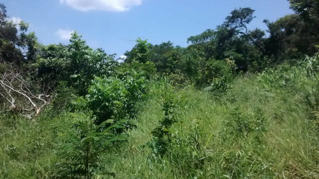 Chacara de 1.000m2 com muita Agua corrente - Foto 2