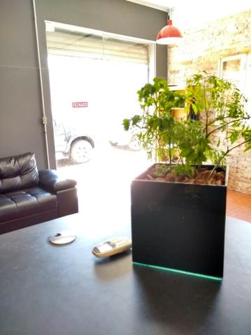 Barbearia em Novo Hamburgo R$23,800 - Foto 4