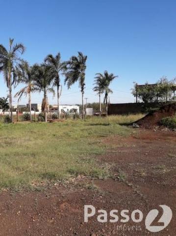 Terreno Comercial na BR 163 - Saída para Caarapó - Foto 10