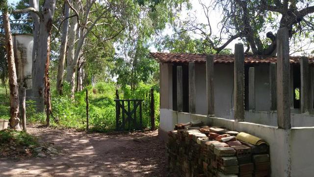 Granja Riachão 14.5 Hectares, 3 Baias, Aprisco, Cocheira, Poço, Casa sede e Morador - Foto 7