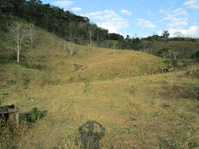 Vendo sítios - Foto 12