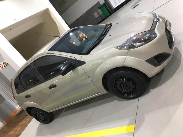 Fiesta hatch