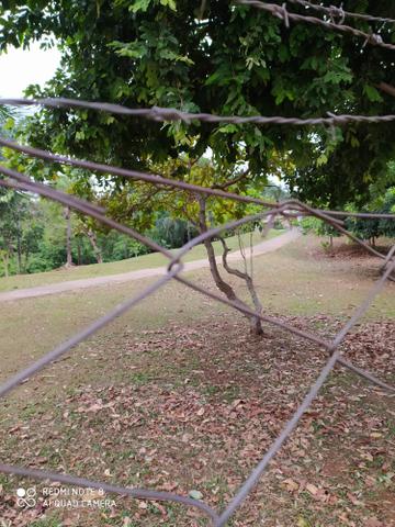 Casa vendo ou troco por chácara - Foto 5