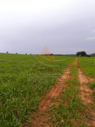 Fazenda - Guaraí - Guaraí - Foto 2