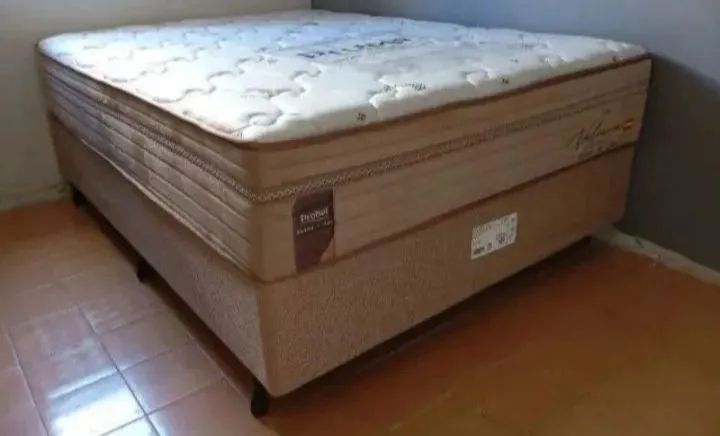 Cama Box molas ensacadas Probel nova - elegante colchão alto 