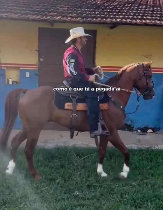 Quarto de milha capa de revista 