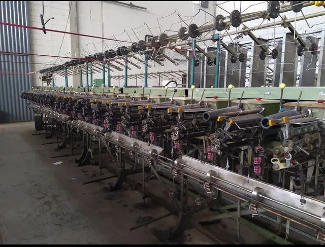 Conicaleira Schweiter - Foto 2