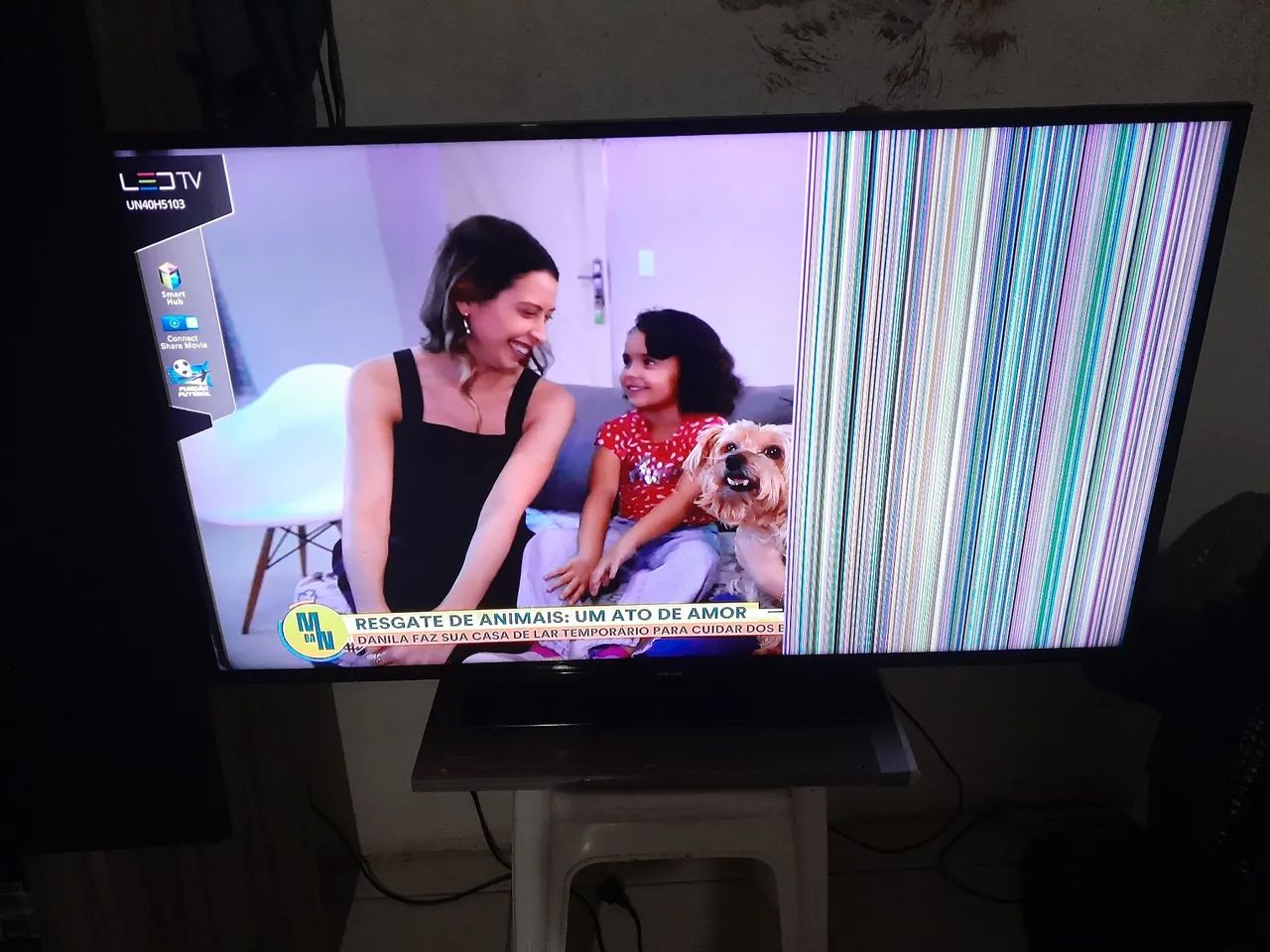 Televisão 
