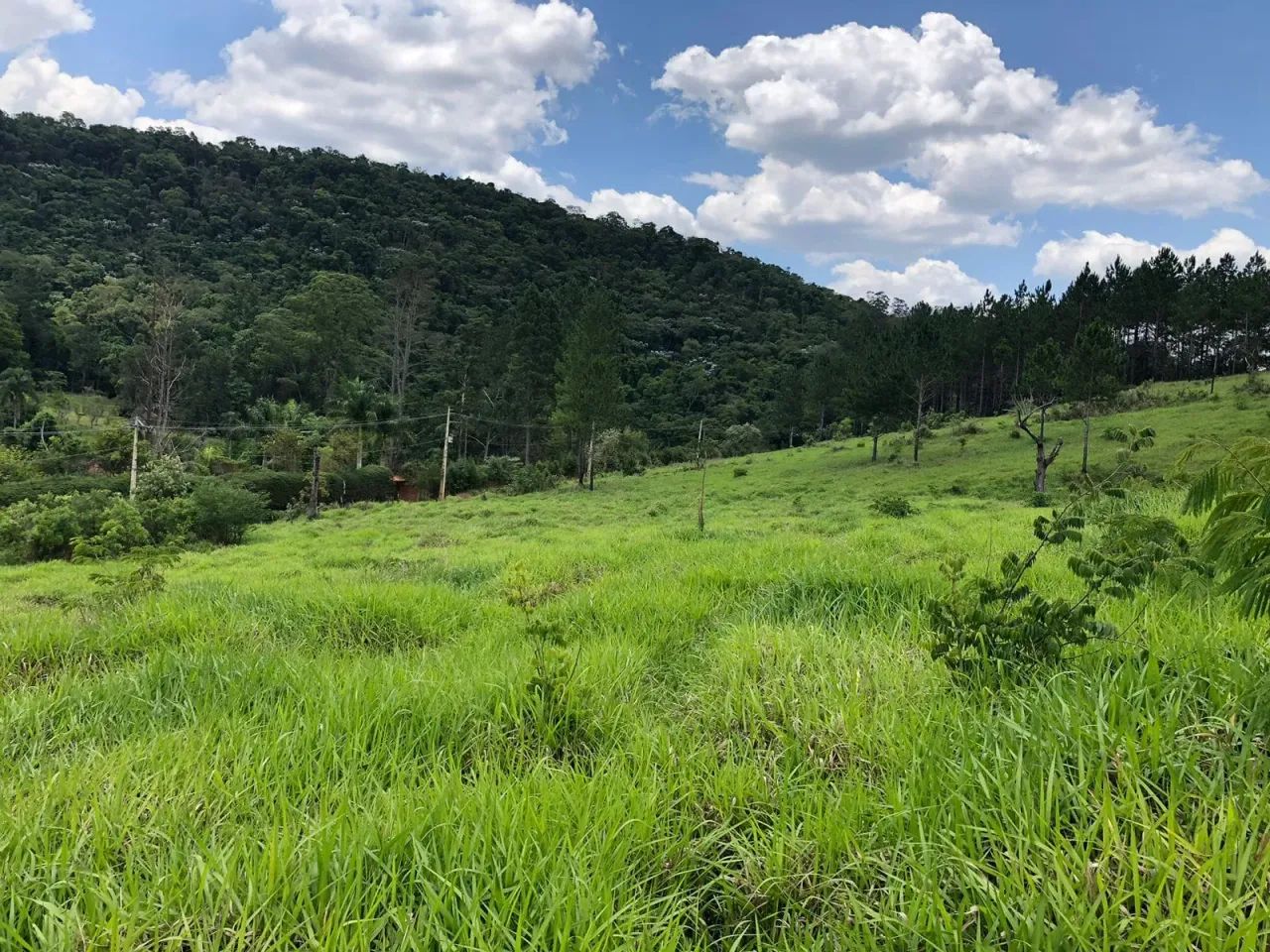 LOTES DE 1000M² PERTO DO ROTEIRO DO VINHO EM SÃO ROQUE - Foto 10