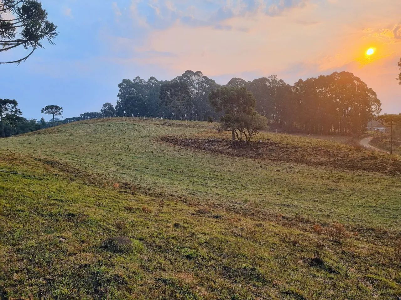 Sítio Chácara 33 hectares São Joaquim
