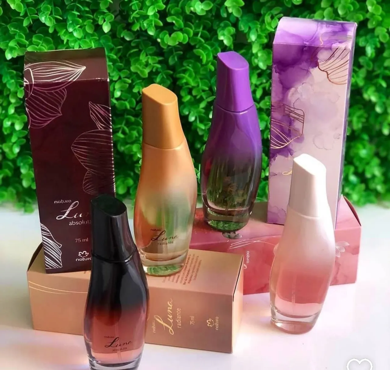 Kit Perfumes Natura Luna - Absoluta, Radiante e Tradicional