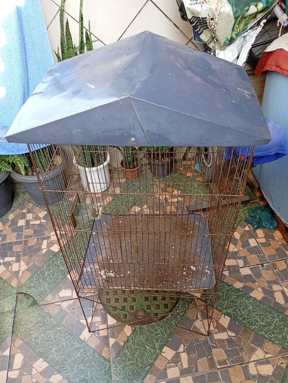 Viveiro em bom estado 