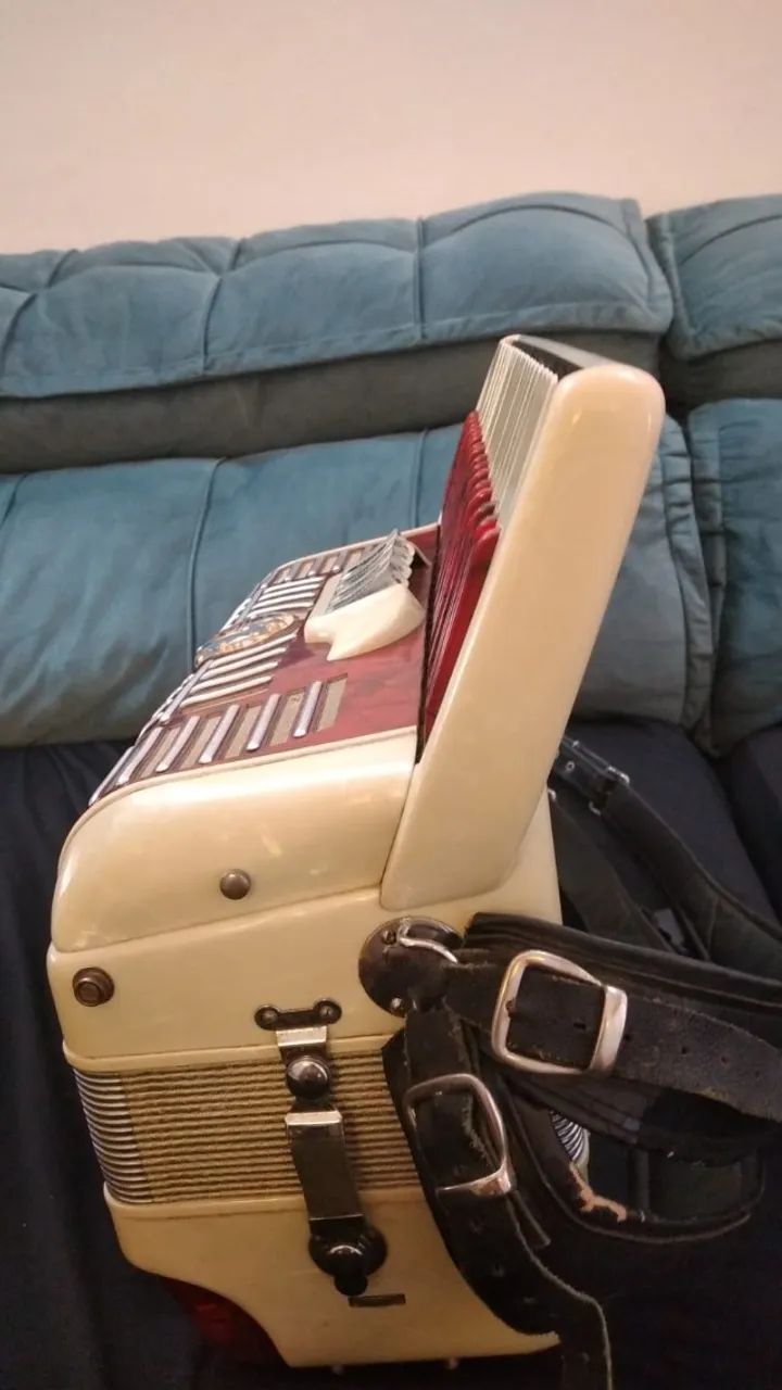 Acordeon/Sanfona/Acordeao - Foto 3