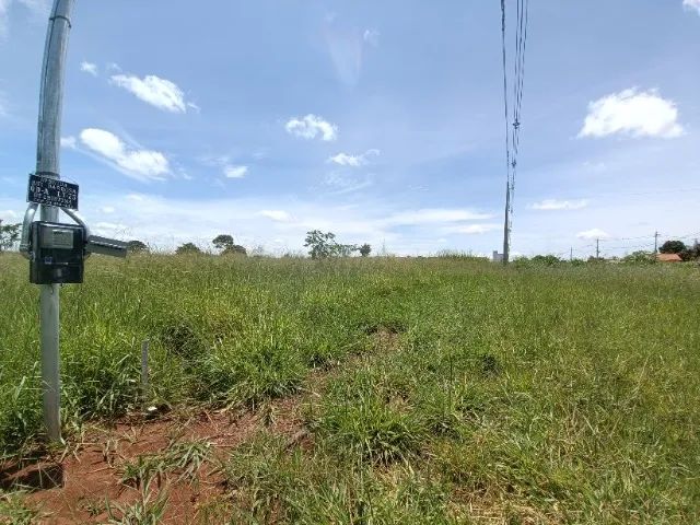 ÁREA 6.000m² SETOR CRISTINA I / TRINDADE - Foto 3