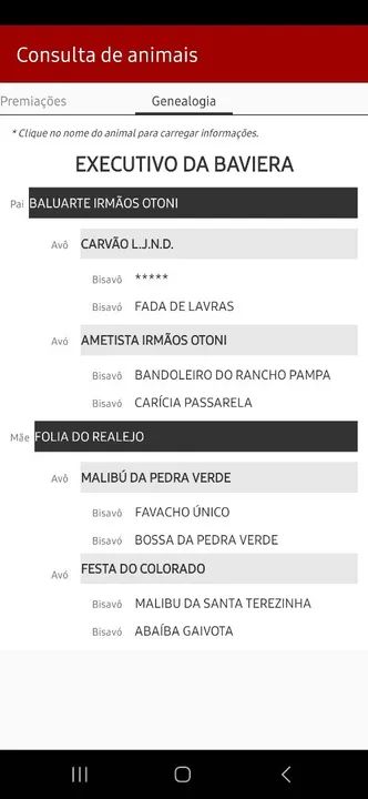 Mangalarga marchador Pampa Registrado  - Foto 5