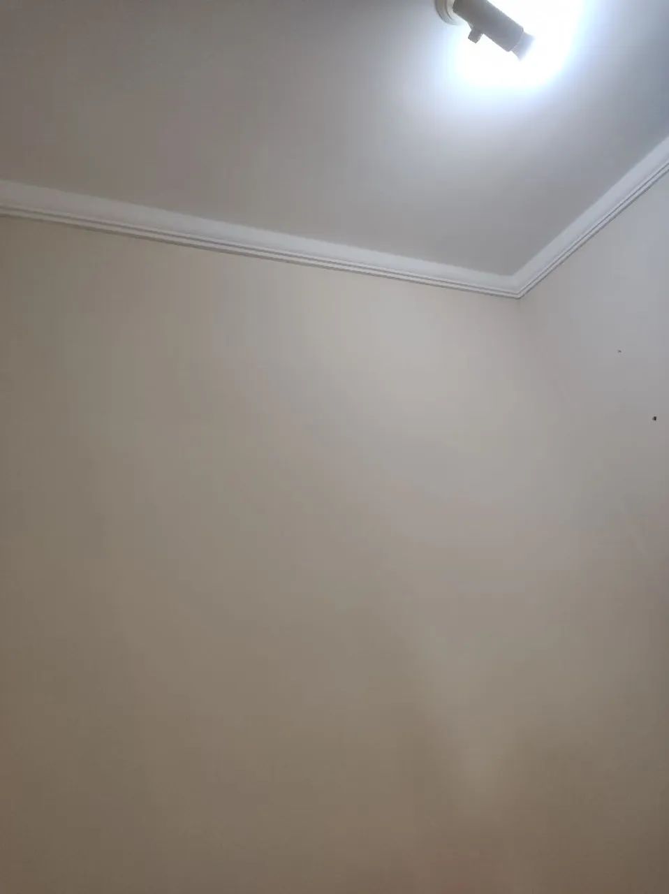 Pintor preço promocional 
