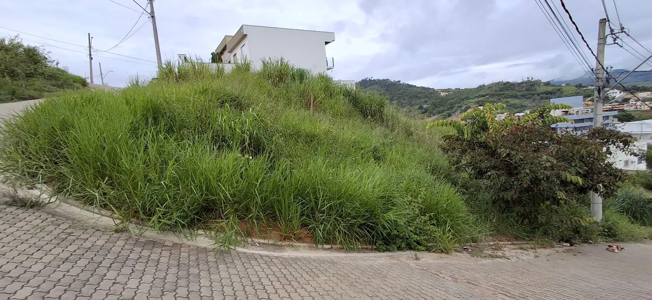 Limpeza de lote e terrenos manutenção de jardim