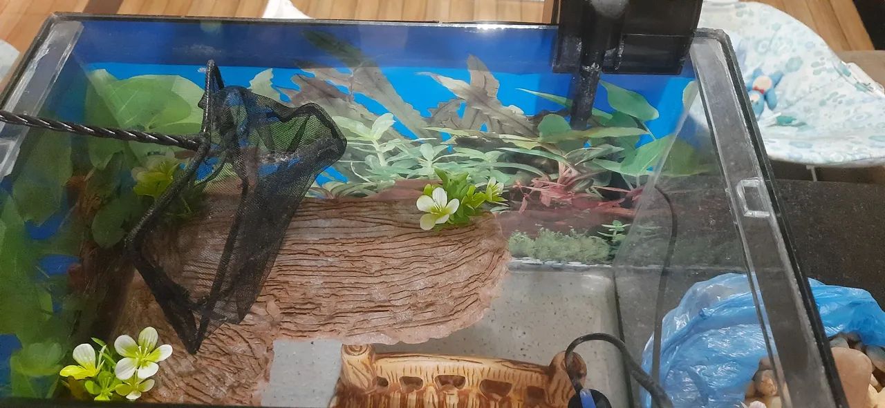 Aquário completo com acessórios - Foto 2