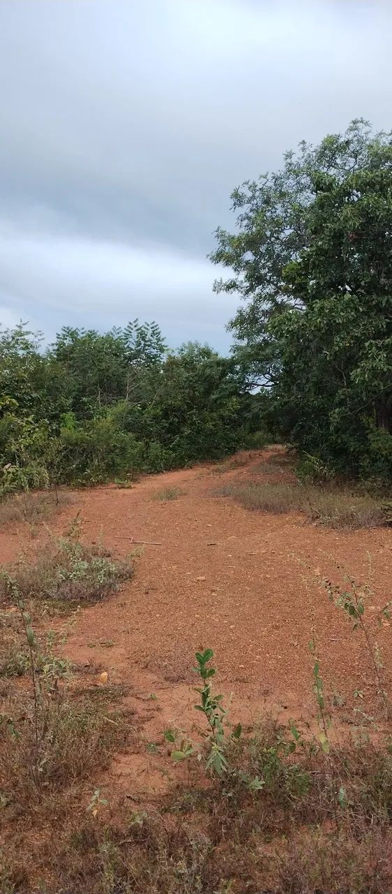 LOTES SERRA DA MESA - Foto 11