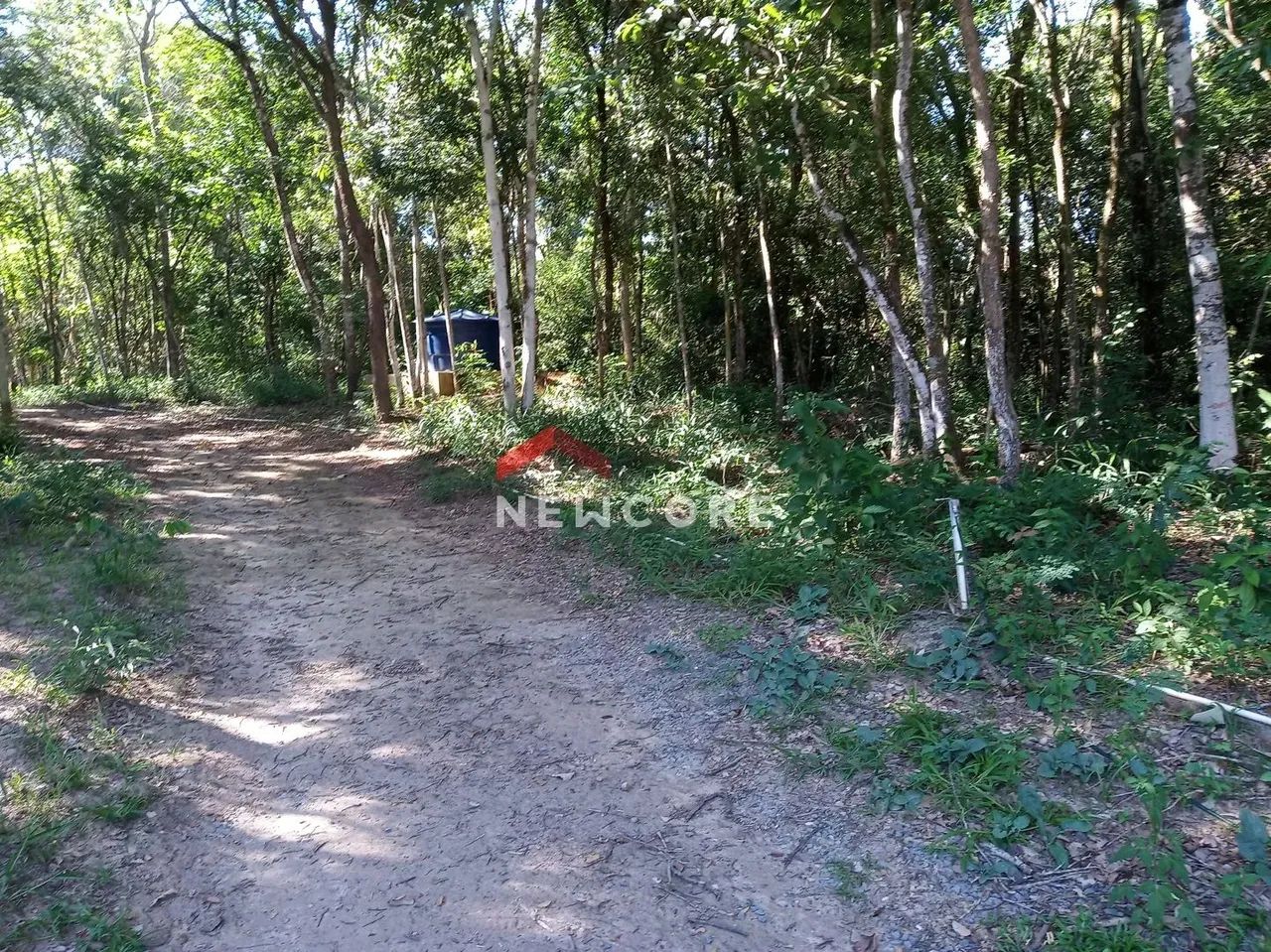 Sítio em 1 - Área Rural de Esmeraldas - Esmeraldas/MG - Foto 5