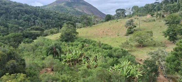 Terreno 10 hectares 25 km BH.