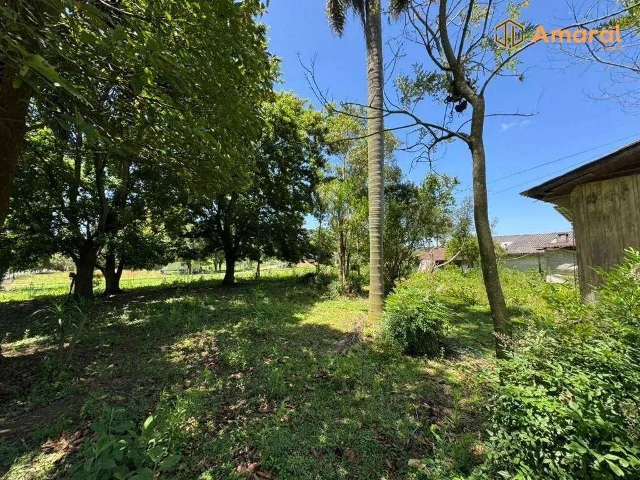 OPORTUNIDADE-100% PLANA - ASFALTADA - Foto 9