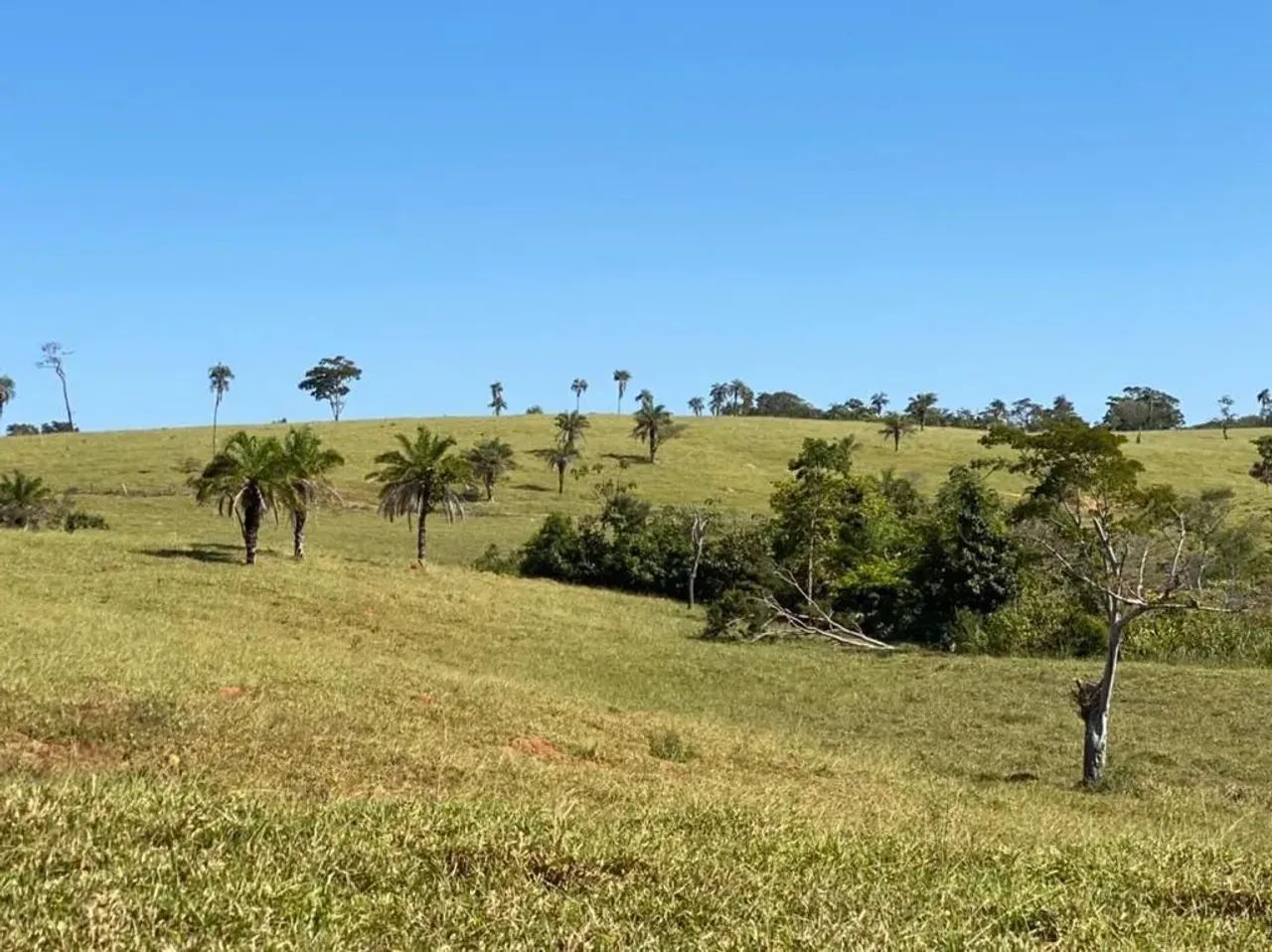 Imóvel para venda tem 2904000 metros quadrados com 5 quartos em Jardim Floresta - Trindade - Foto 3
