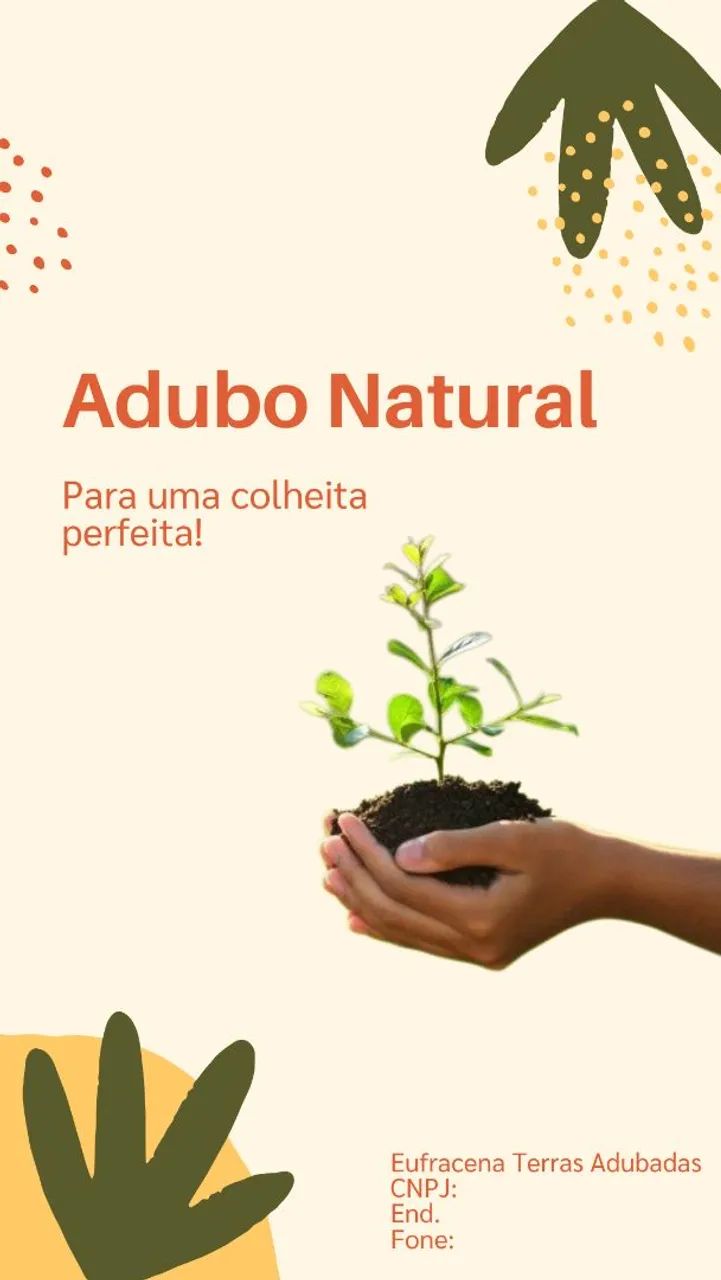 Terra Orgânica - Foto 5