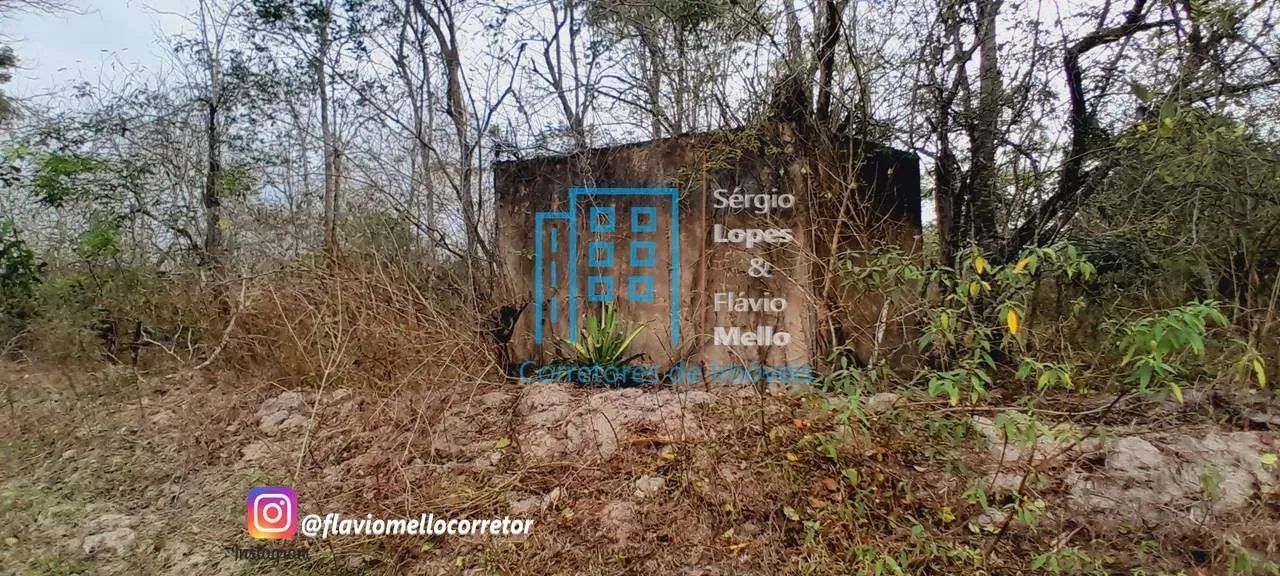 ITABORAÍ - ÁREA 10,000m² para montar seu Sitio toda Plana  Cod(551IV) - Foto 6