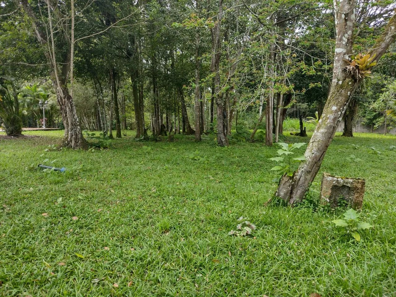 vende-se belíssima propriedade em aldeia!!!! também alugamos, podemos também alugar!. - Foto 9