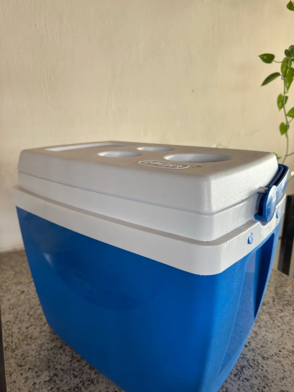 34L Cooler