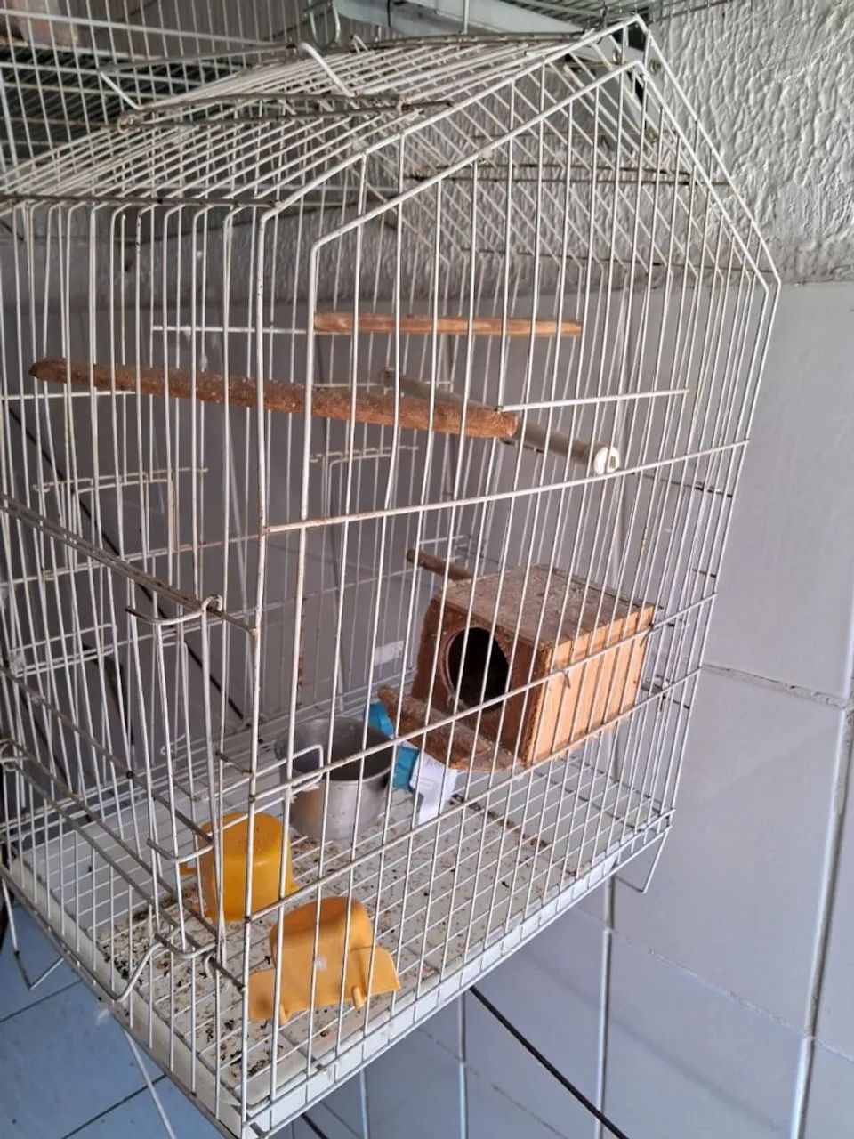 GAIOLA USADA 64584445720961120