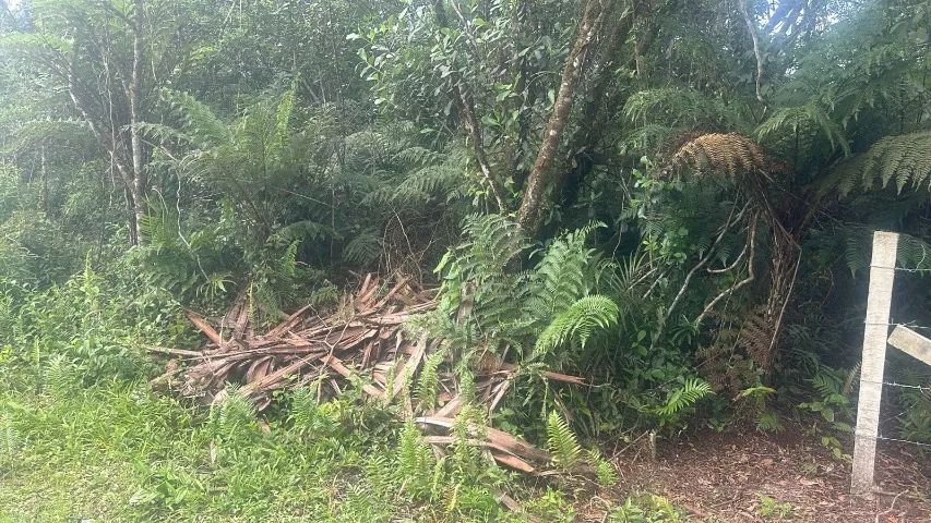 TERRENO EM ITAPOÁ  - Foto 2