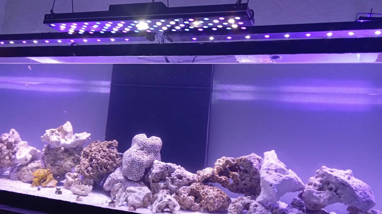 Iluminação LED para Aquário - Foto 2